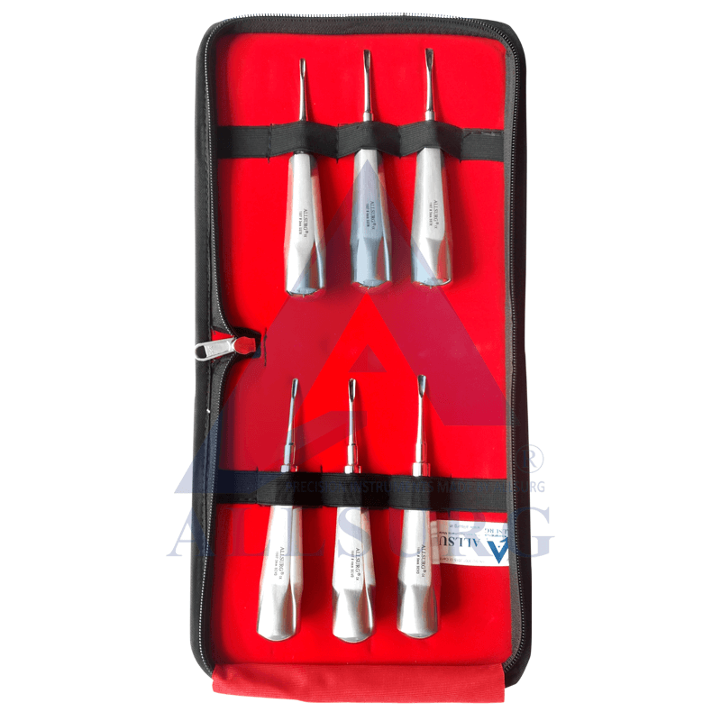 Buy Allsurg Coupland Elevators Premium Set Of 6 In Bag at India's